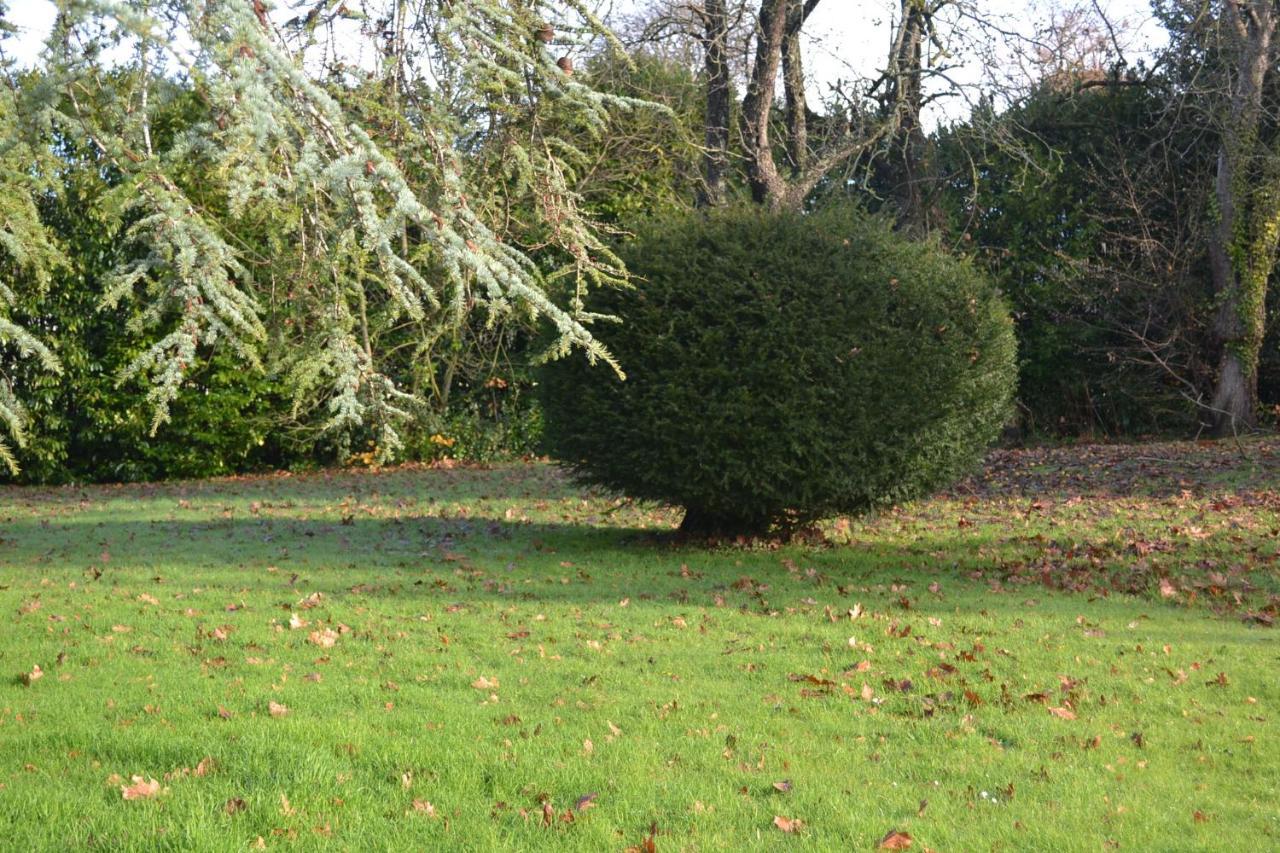 Gite Des Ecuries Derchigny Exterior foto